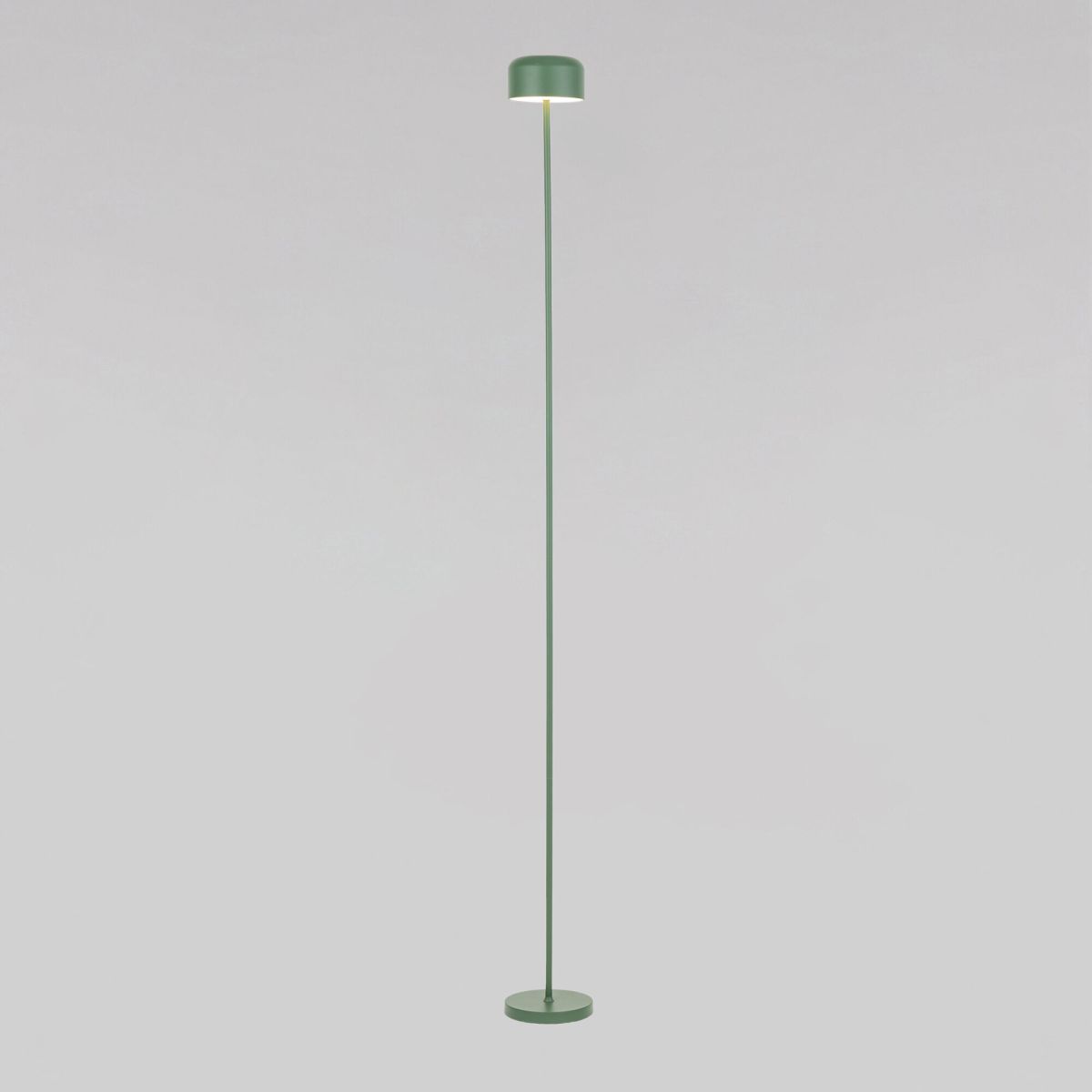 Торшер TK Lighting 19007 Noa Green a073035 в Санкт-Петербурге