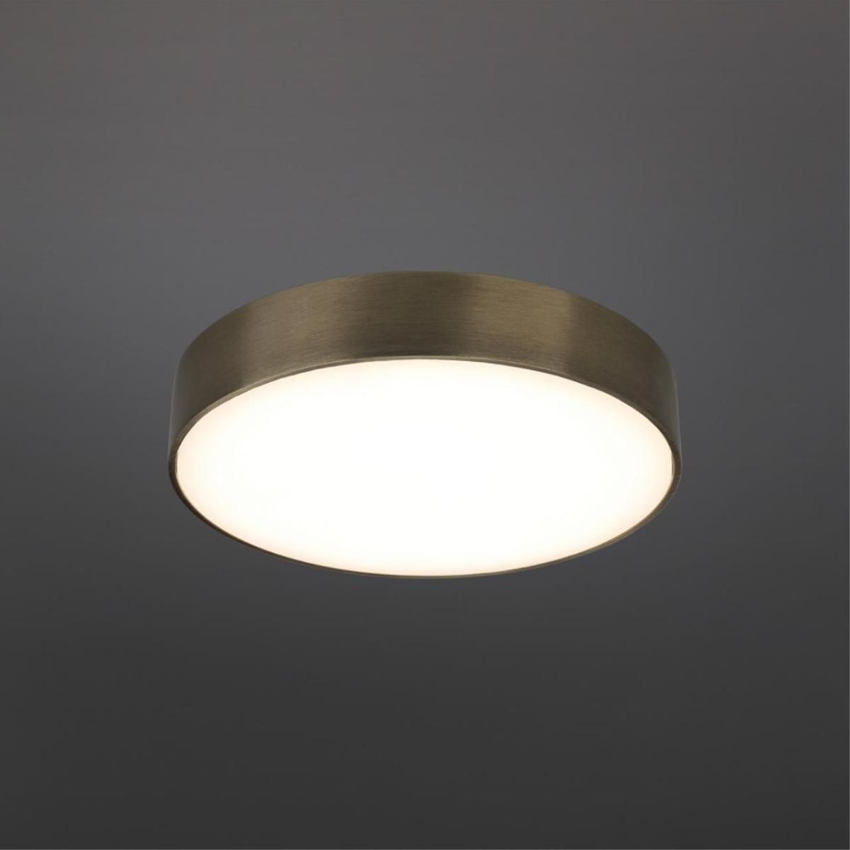 Потолочный светильник Aployt Evon APL.0114.29.24 в Санкт-Петербурге