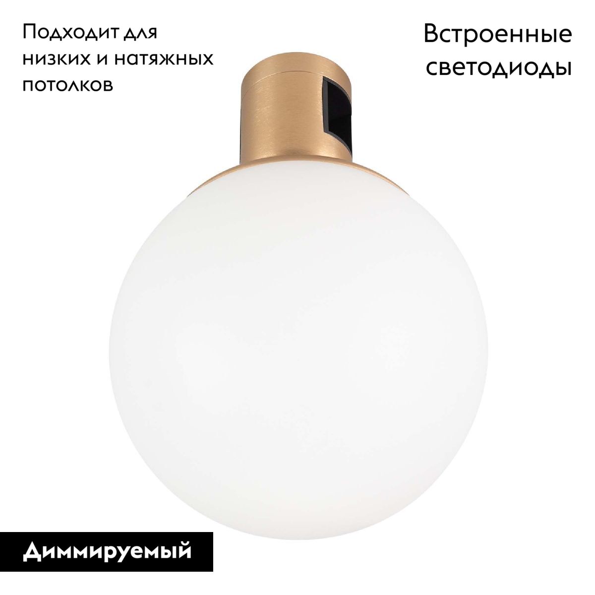 Трековый светильники Arlight ART-APRIORI-SFERO-R120-5W Warm3000 039289 в #REGION_NAME_DECLINE_PP#