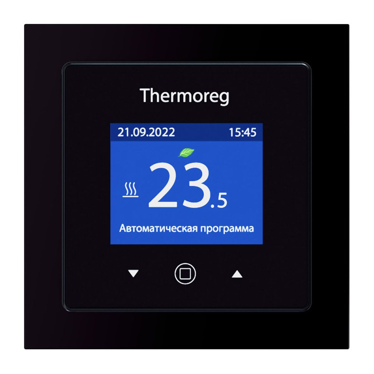 Терморегулятор Thermoreg TI-970 Black в Санкт-Петербурге