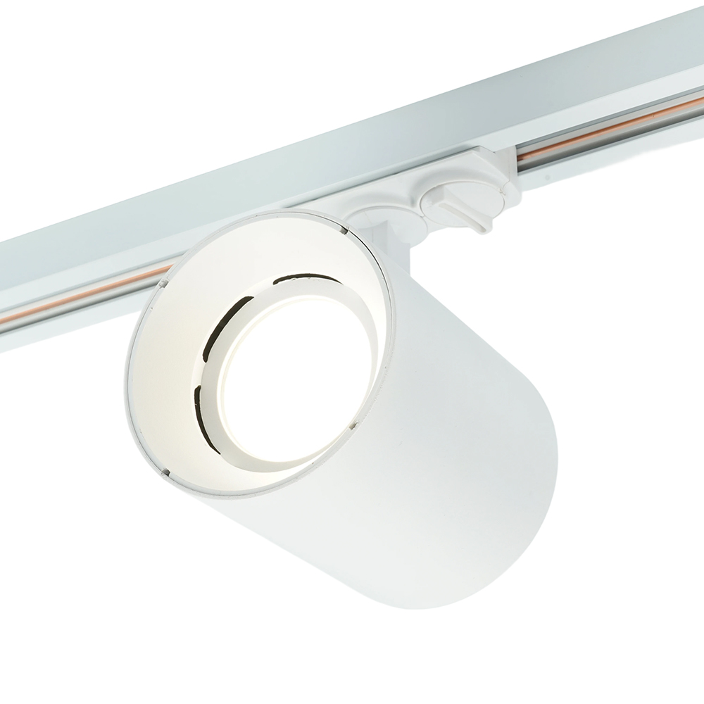 Трековый однофазный светильник Feron AL169 51849 в Санкт-Петербурге