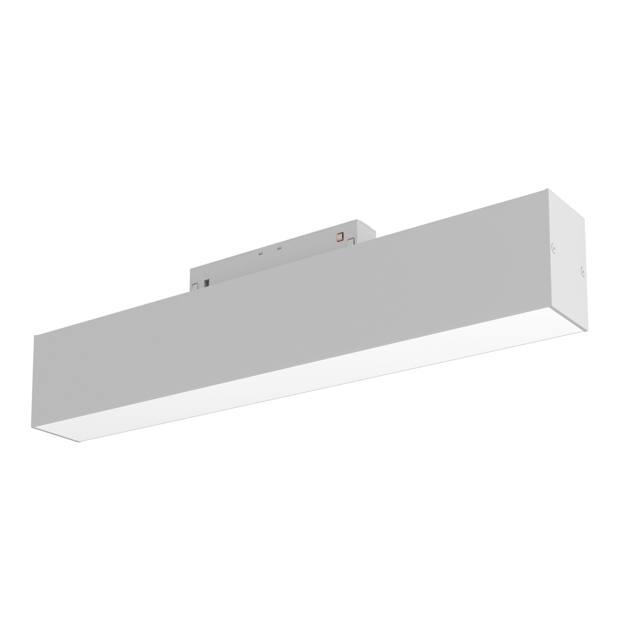 Трековый светильник Maytoni BASIS TR012-2-12W3K-W в Санкт-Петербурге