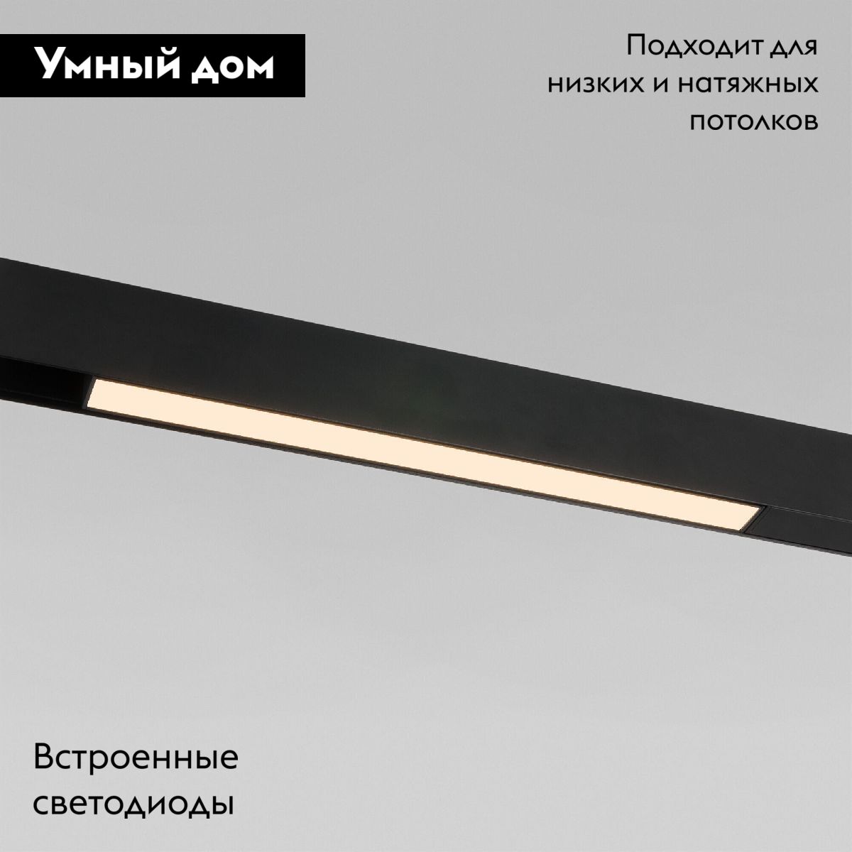 Трековый магнитный светильник Elektrostandard Slim Magnetic 4690389206429 85000/01 a067372 в Санкт-Петербурге