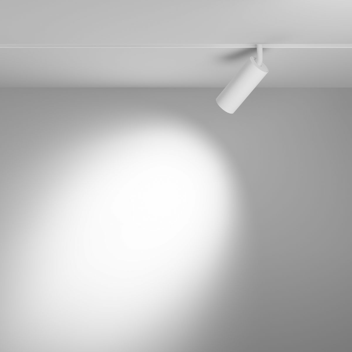 Трековый магнитный светильник Maytoni Focus LED TR032-4-12WTW-S-DD-W в Санкт-Петербурге