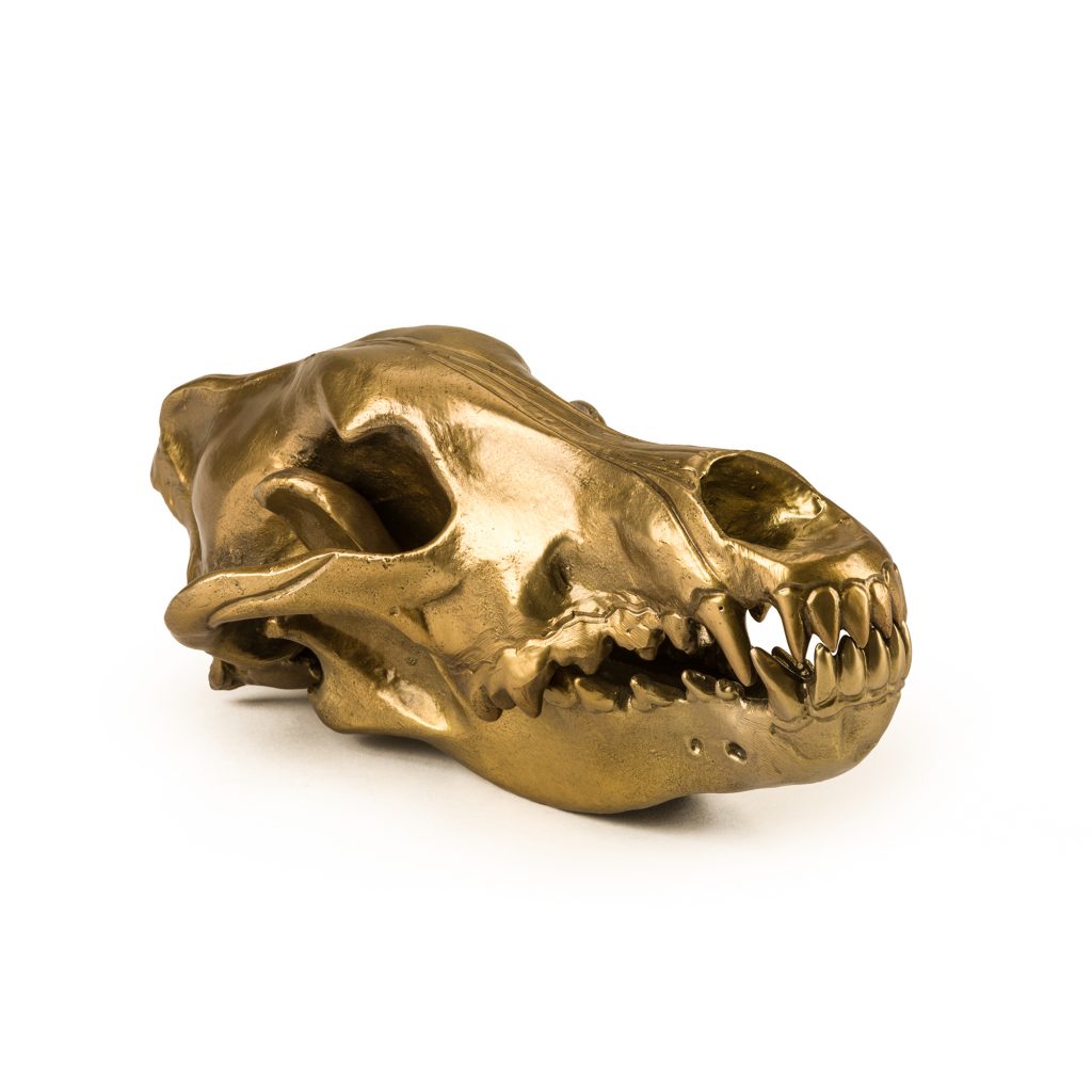 Статуэтка Wolf Skull Seletti Wunderkammer 10892 в Санкт-Петербурге