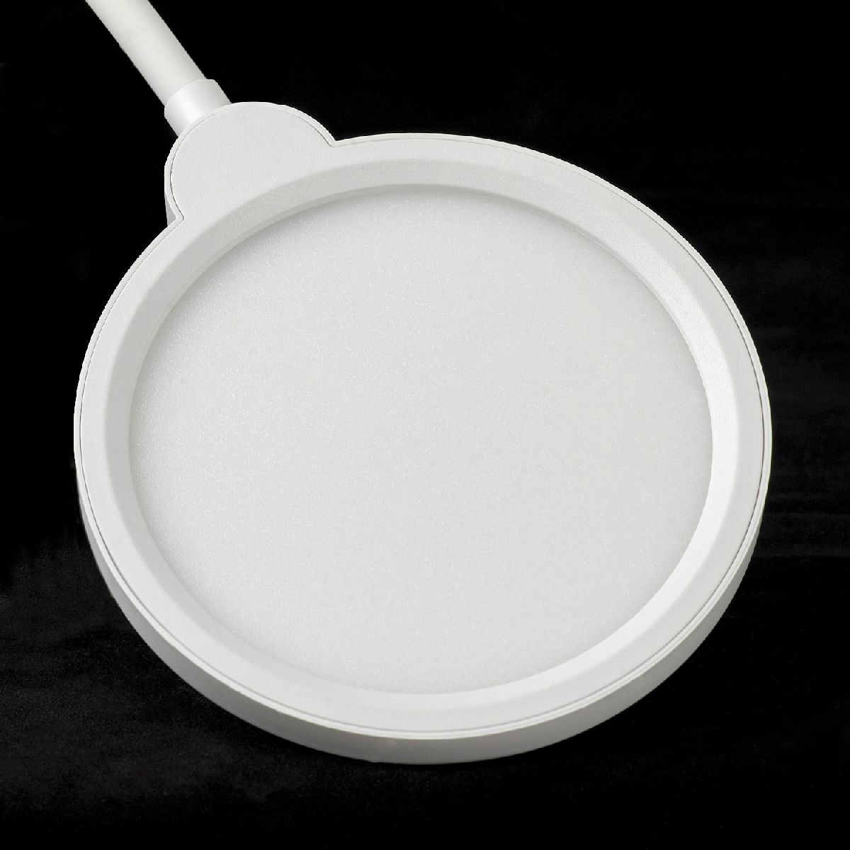 Торшер Lussole Amador LSP-0919 в Санкт-Петербурге