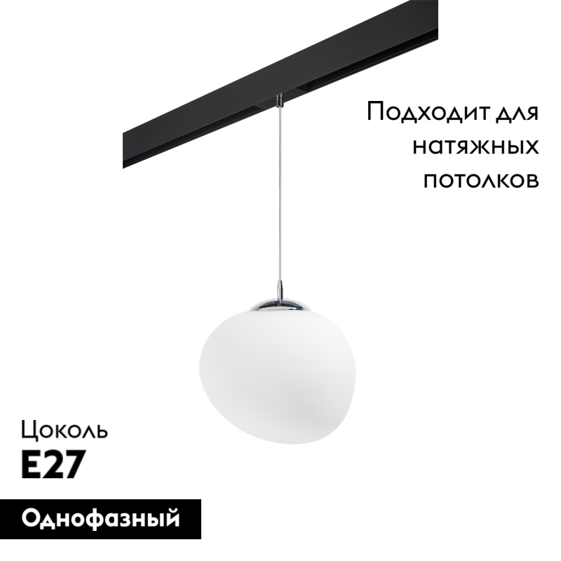 Трековый светильник потолочный Lightstar Arnia PRO805016 (805016+595007) в Санкт-Петербурге