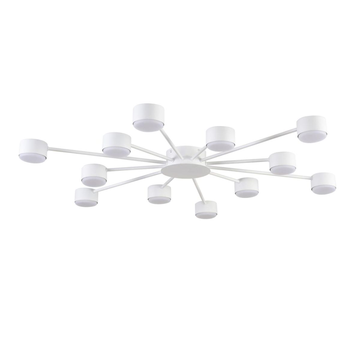 Потолочная люстра Lumion Comfi Torina 8343/12C в Санкт-Петербурге