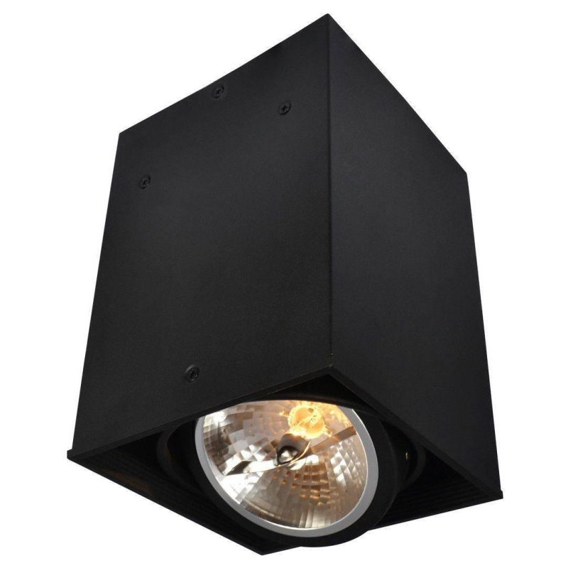 Потолочный светильник Arte Lamp Cardani A5936PL-1BK в Санкт-Петербурге