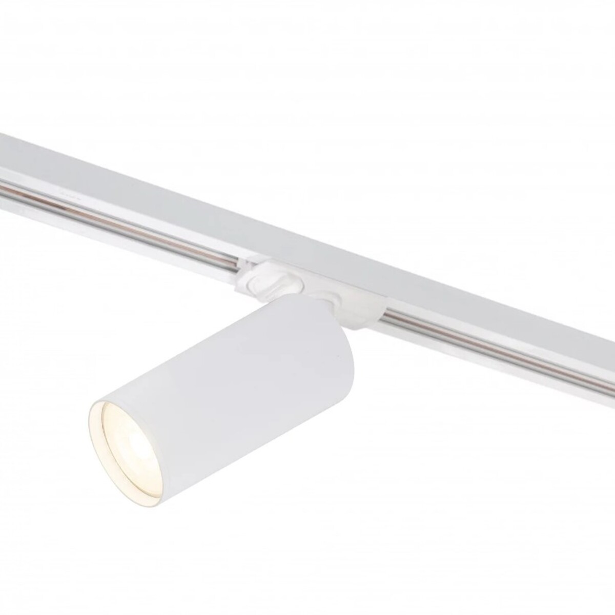 Светильник на шине Denkirs DK6202-WH в Санкт-Петербурге