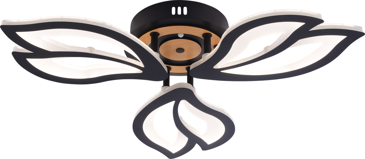 Потолочный светильник Rivoli Lana 6195-703 Б0070142 в Санкт-Петербурге