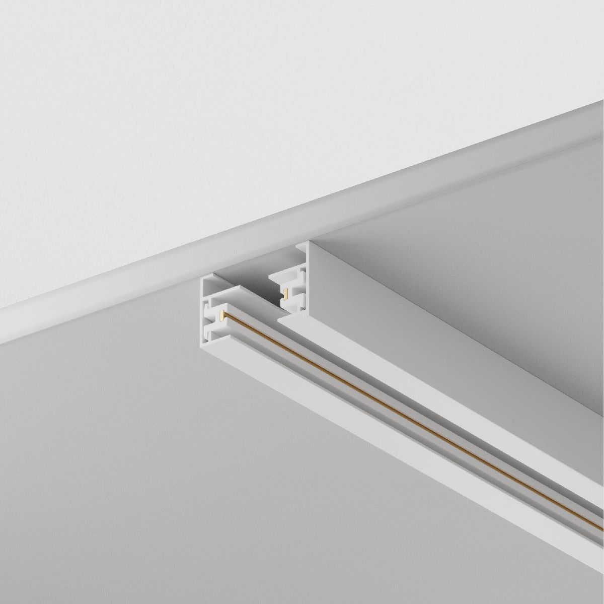 Шинопровод однофазный Maytoni Technical Busbar trunkings TRX001-113W в Санкт-Петербурге