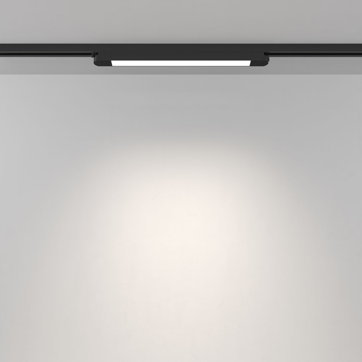 Трековый однофазный светильник Maytoni Technical Basis TR000-1-12W4K-B_1 в Санкт-Петербурге