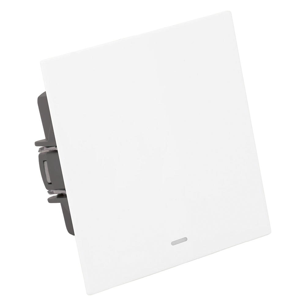 Выключатель 1-клавишный c индикатором (механизм) Stekker Мия 250В 10А RSW10-3101-01 белая магнолия 50431 в Санкт-Петербурге