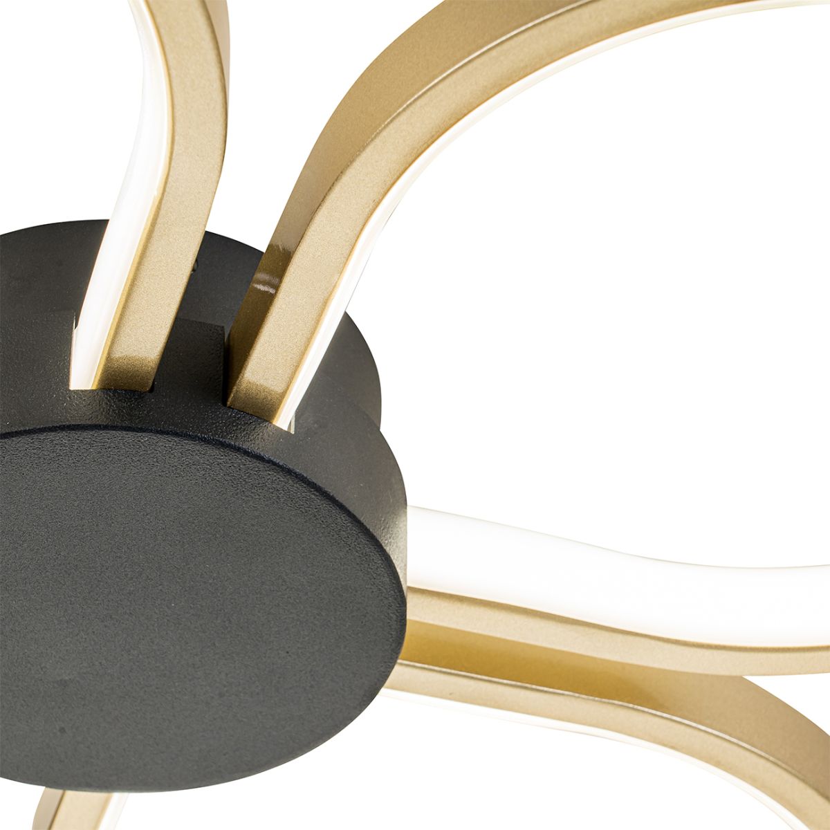 Потолочный светильник Escada Clover 10243/4LED в Санкт-Петербурге