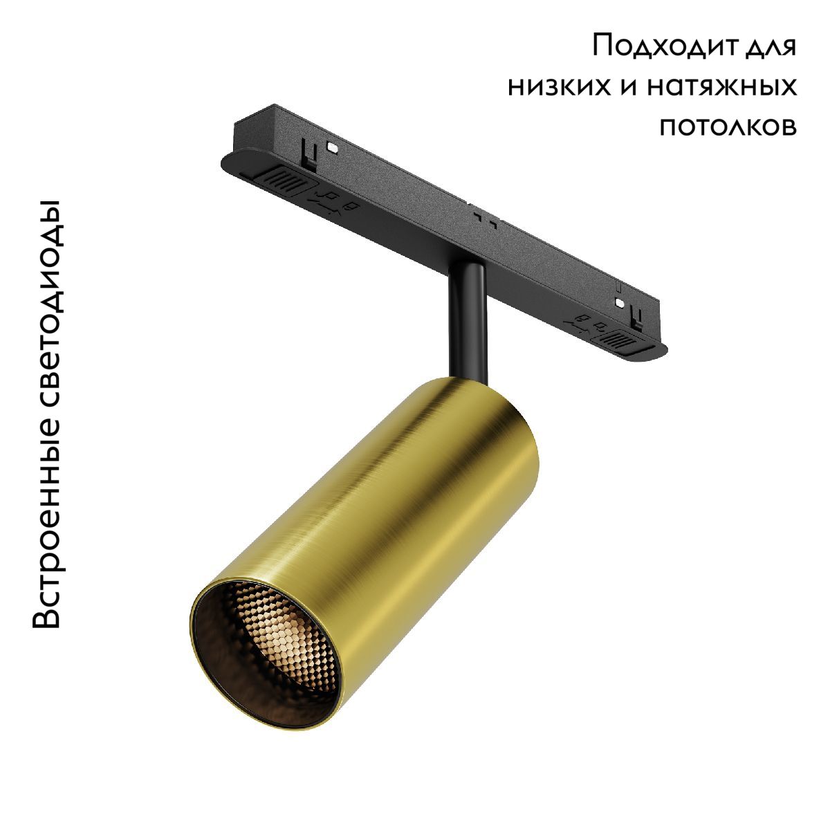 Трековый магнитный светильник на потолок Maytoni Focus Led TR032-2-12W3K-M-BBS в Санкт-Петербурге