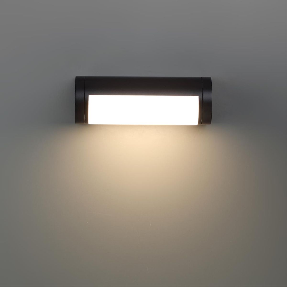 Уличный настенный светильник Odeon Light Nature Twinset 7117/12WL в Санкт-Петербурге