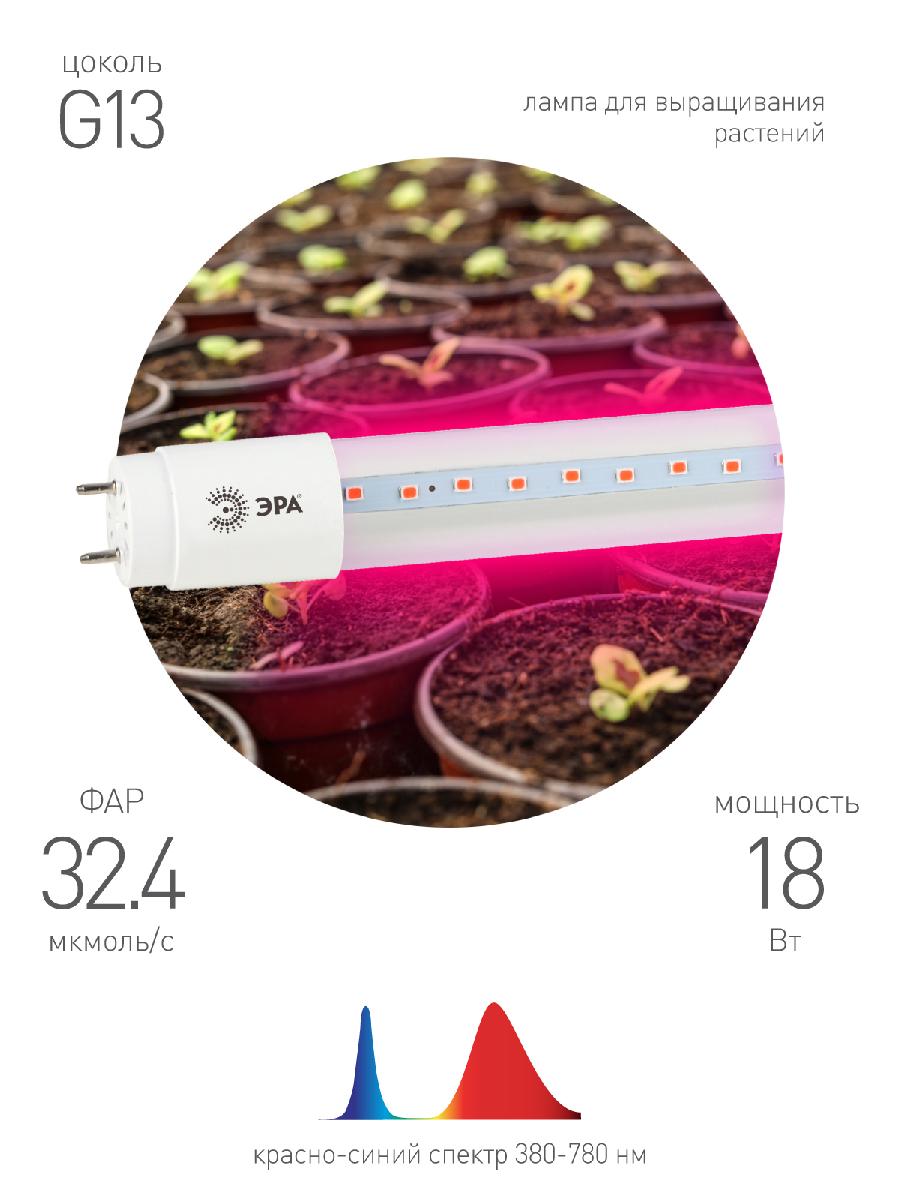 Фитолампа для растений Эра FITO-18W-RB-Т8-G13-NL Б0042990 в Санкт-Петербурге