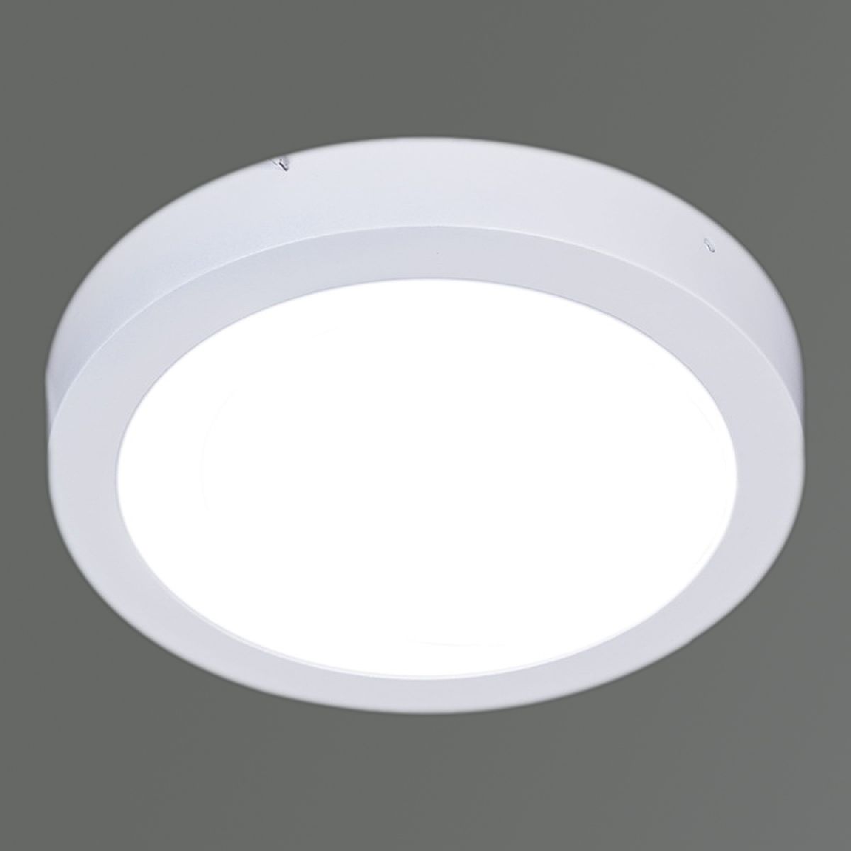 Потолочный светильник Reluce 00724-9.5-001LF LED 24W 4000K WT в Санкт-Петербурге