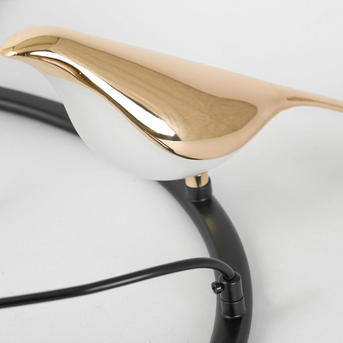 Подвесная люстра Lussole Jasper LSP-8641 в Санкт-Петербурге