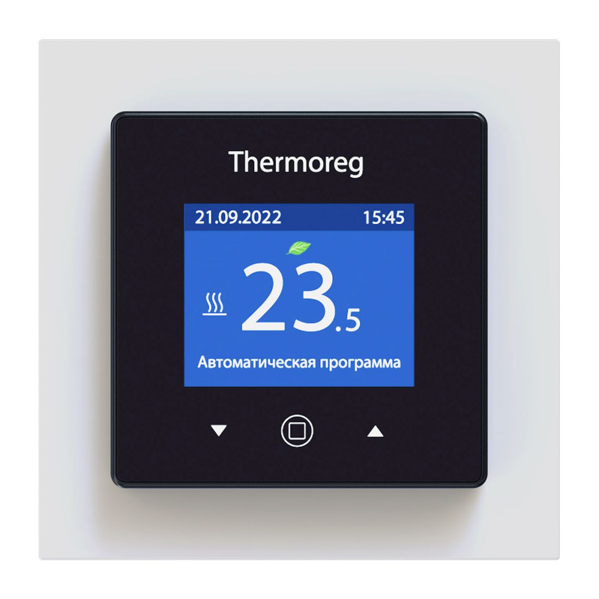 Терморегулятор Thermoreg TI-970 в Санкт-Петербурге