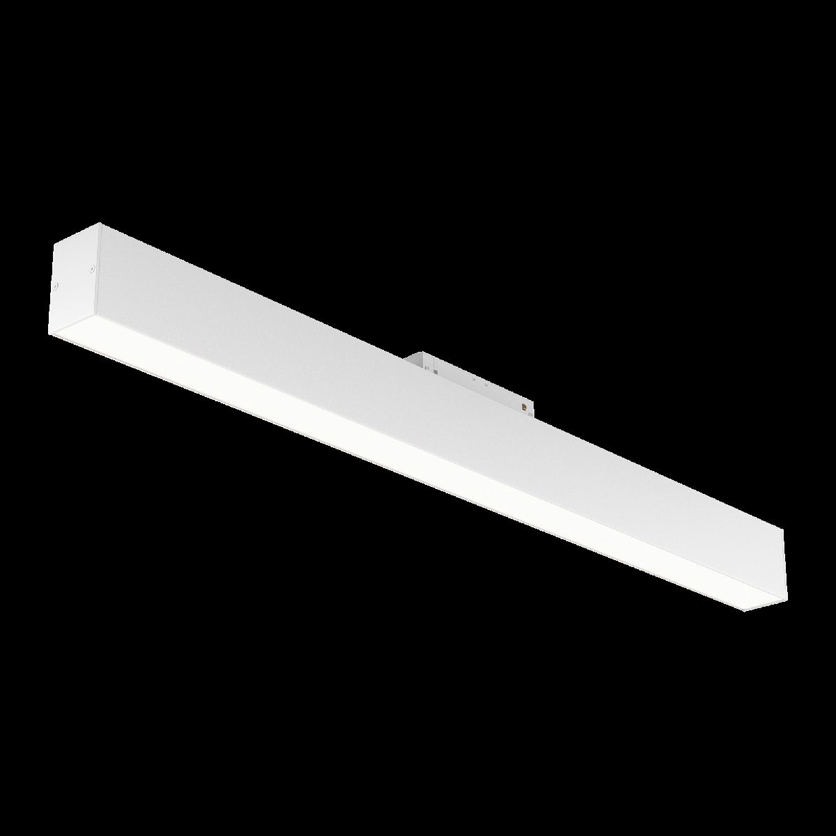 Трековый светильник Maytoni Technical BASIS TR012-2-20W4K-W в Санкт-Петербурге