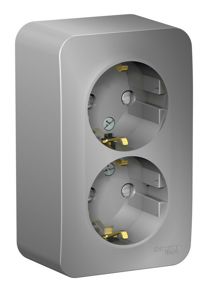 Розетка 2-ая с/з со шторками 16А, 250В, изолир. Пластина Systeme Electric Blanca наруж Алюминий BLNRA011213 в Санкт-Петербурге