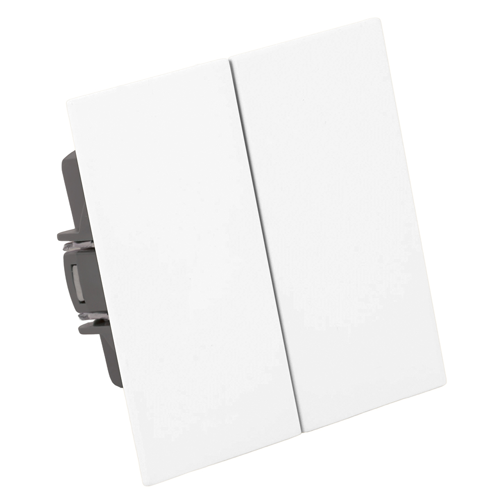 Переключатель 2-клавишный (механизм) Stekker Мия 250В 10А RSW10-3107-01 белая магнолия 50434 в Санкт-Петербурге