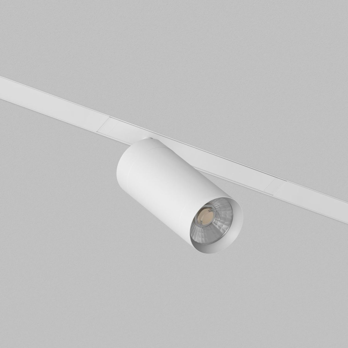 Трековый однофазный светильник Denkirs Simple Spot DK8120-WH в Санкт-Петербурге