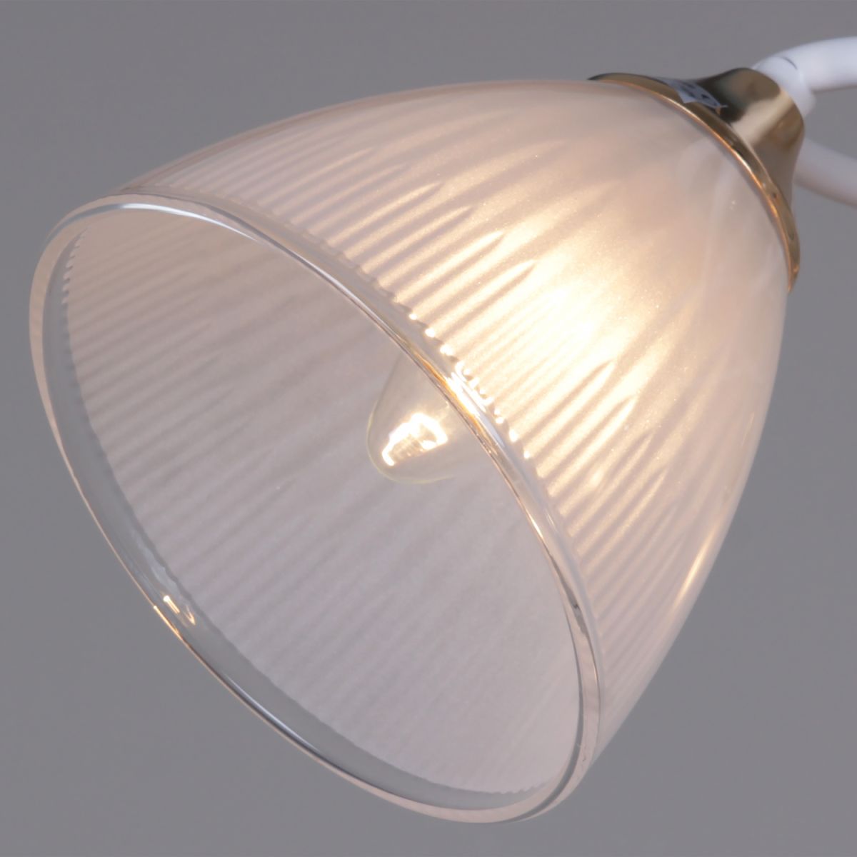 Потолочный светильник Reluce 04360-0.3-03 WH+FG в Санкт-Петербурге