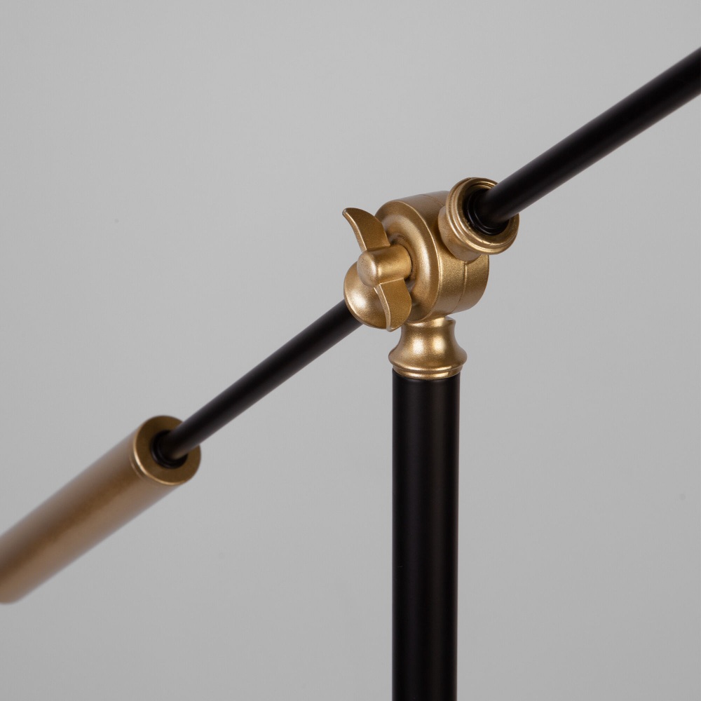 Торшер Eurosvet Grazia 01143/1 черный/золото a062045 в #REGION_NAME_DECLINE_PP#