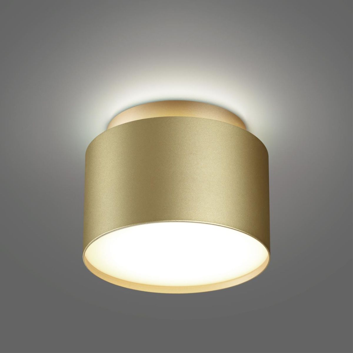 Накладной светильник Novotech Over Lirio 371039 в #REGION_NAME_DECLINE_PP#