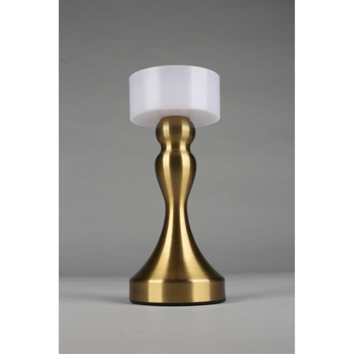 Настольная лампа Omnilux OML-40304-01 в Санкт-Петербурге