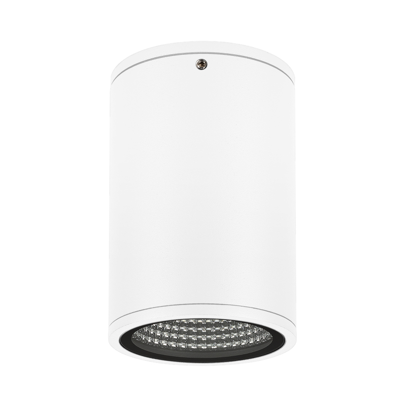 Уличный потолочный светильник Arlight LGD-Forma-Surface-R90-12W Day4000 037259 в Санкт-Петербурге