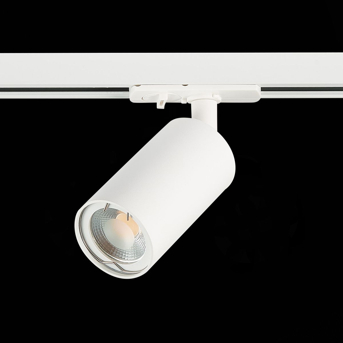 Трековый однофазный светильник ST Luce Base ST300.506.01.1 в Санкт-Петербурге