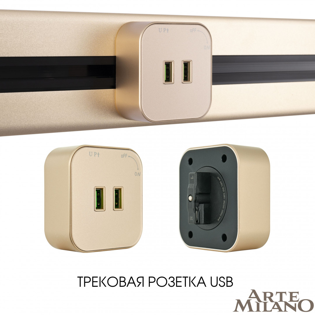 Трековая розетка Arte Milano Am-track-sockets 380022TS/USBx2 Gold в Санкт-Петербурге