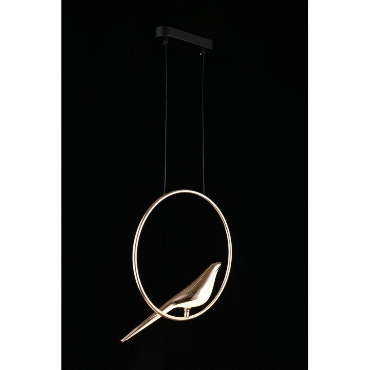 Подвесной светодиодный светильник Aployt Astor APL.822.06.10 в Санкт-Петербурге