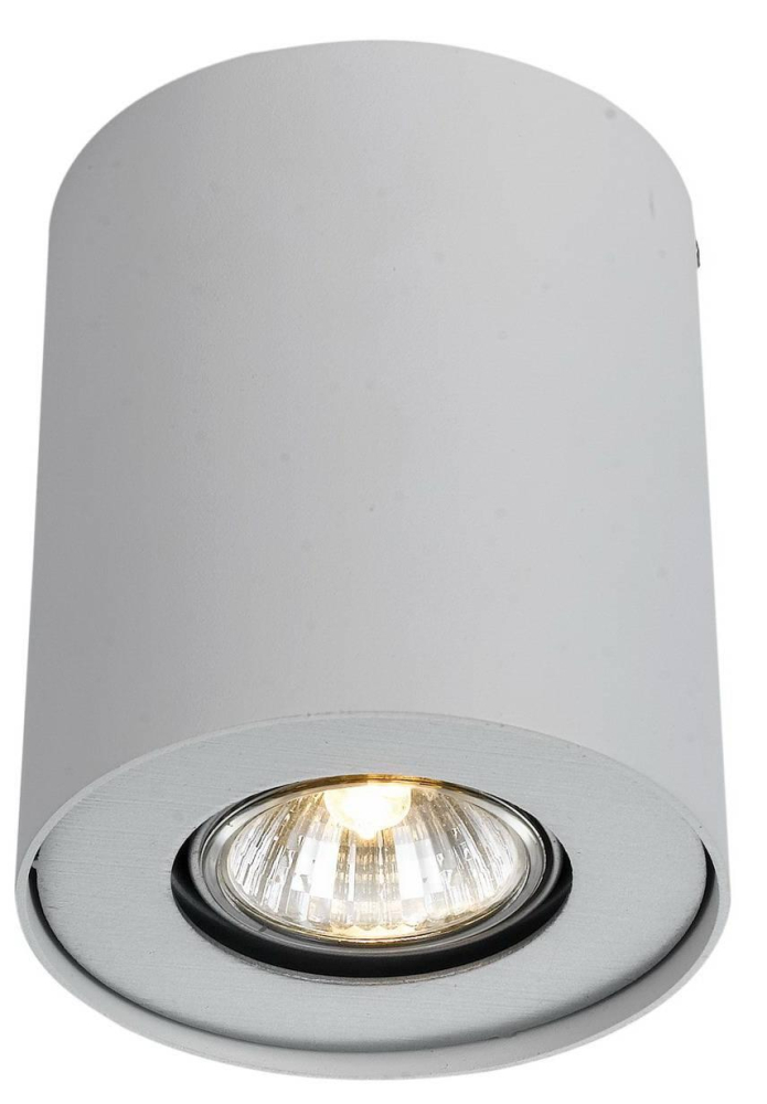 Потолочный светильник Arte Lamp Falcon A5633PL-1WH в Санкт-Петербурге