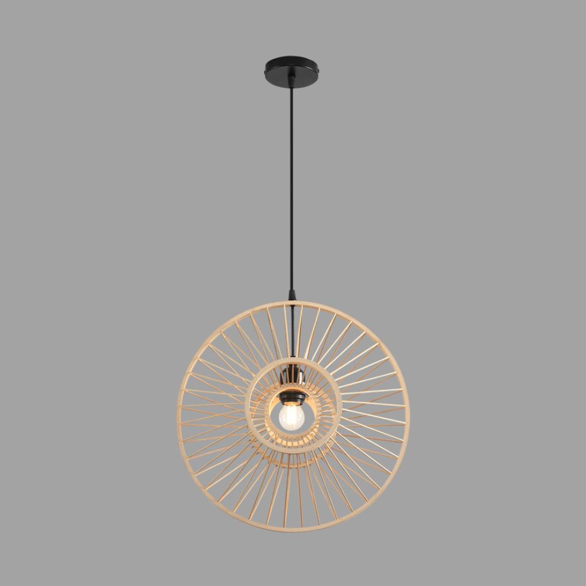 Подвесной светильник Lumion Eco Chakra 8383/1 в Санкт-Петербурге