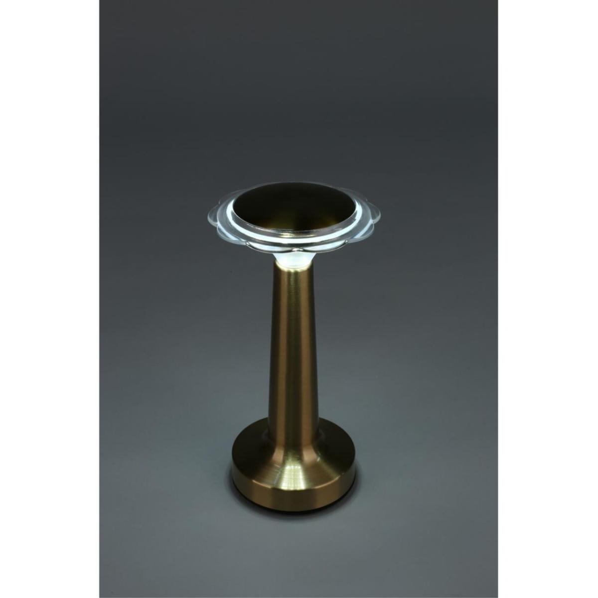 Настольная лампа Omnilux OML-40204-01 в Санкт-Петербурге