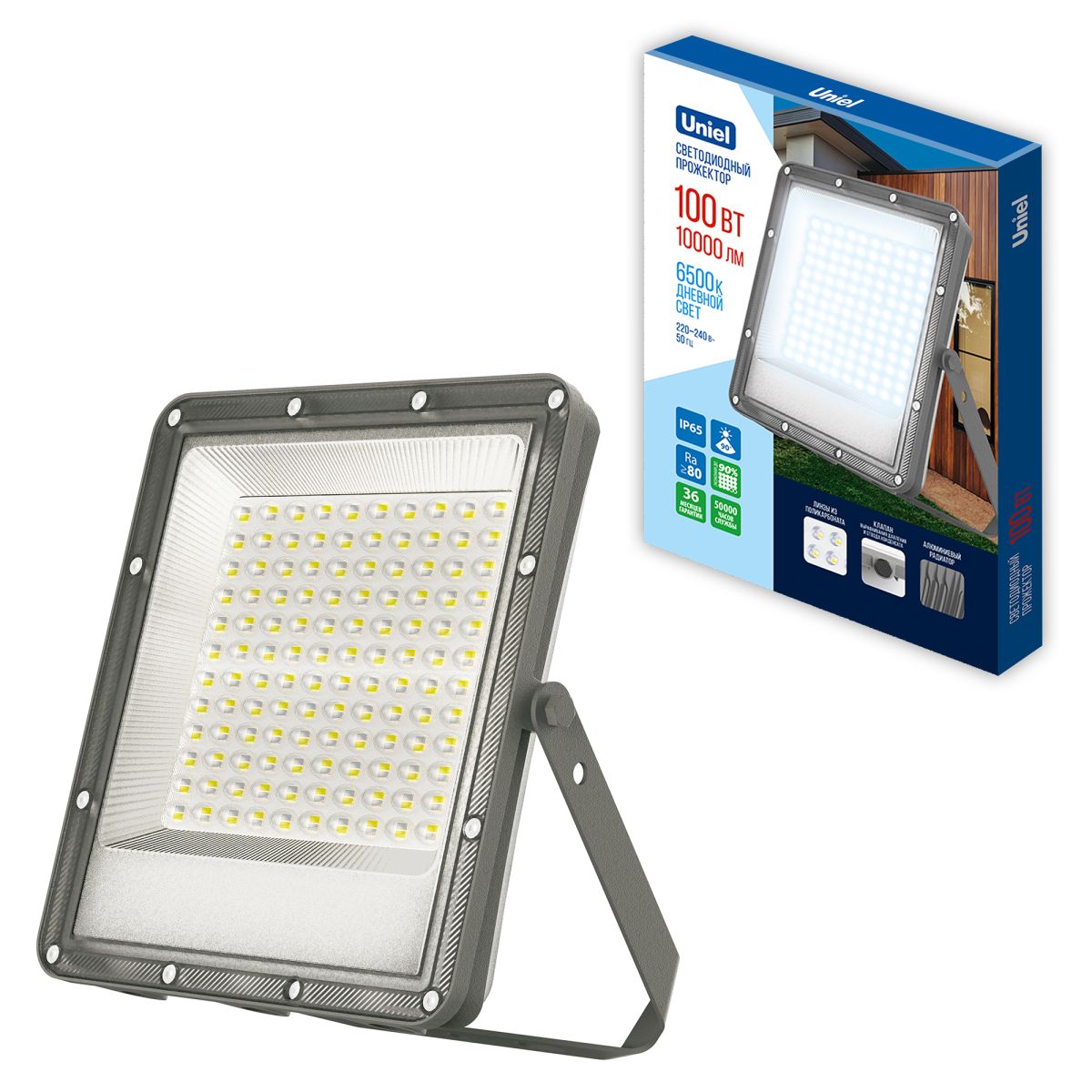 Прожектор Uniel ULF-F51D-100W/6500K IP65 200-240V GREY UL-00012759 в Санкт-Петербурге