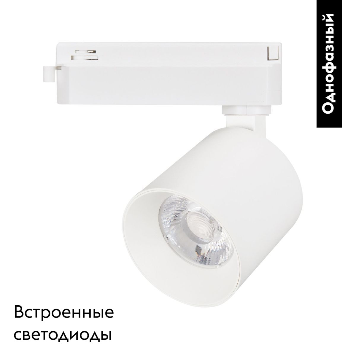 Трековый однофазный светильник Arlight LGD-DYKE-2TR-R75-16W Warm3000 (WH, 50 deg, 230V) 052265 в #REGION_NAME_DECLINE_PP#