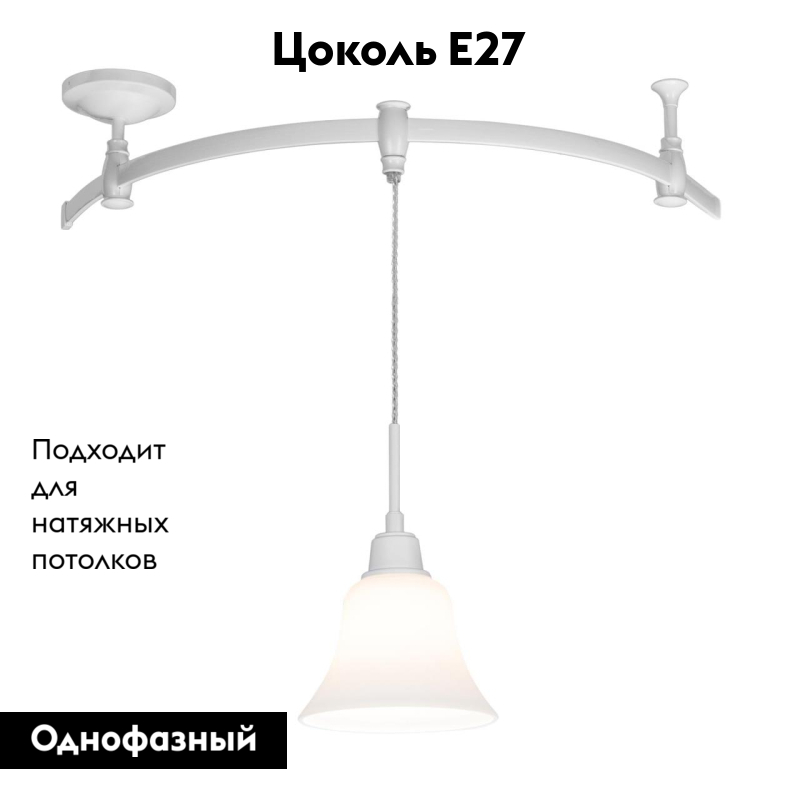 Трековый светильник Citilux Модерн CL560210 в Санкт-Петербурге
