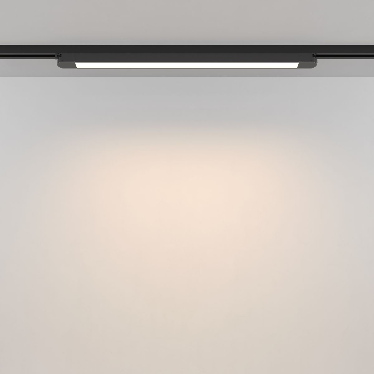 Трековый однофазный светильник Maytoni Technical Basis TR000-1-24W3K-B_1 в #REGION_NAME_DECLINE_PP#