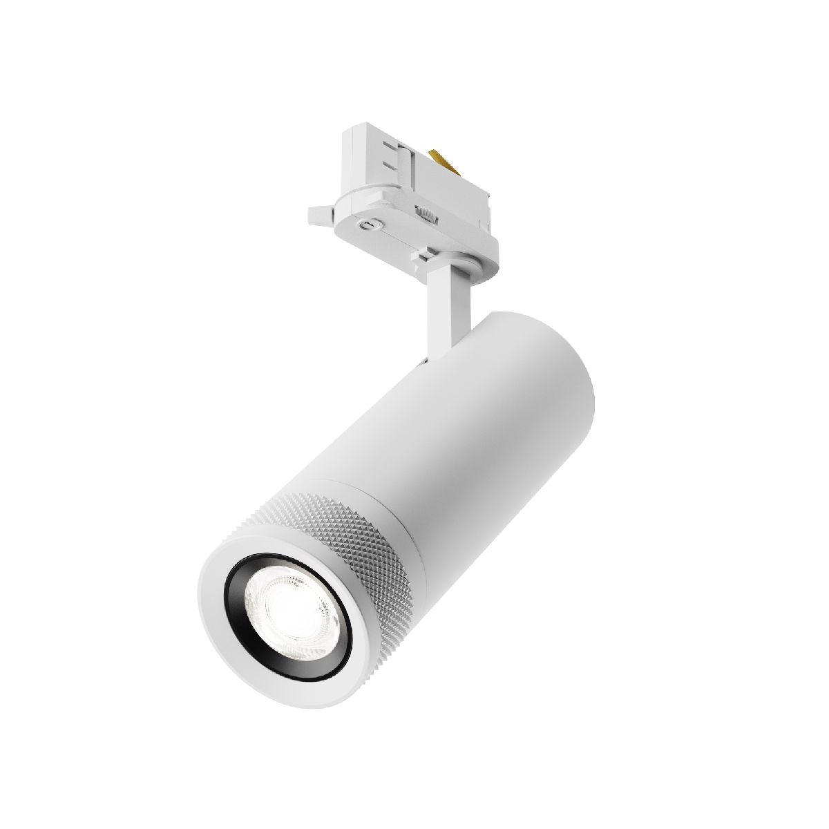 Трековый трехфазный светильник Maytoni Focus Zoom TR198-3-20W4K-Z-W в Санкт-Петербурге
