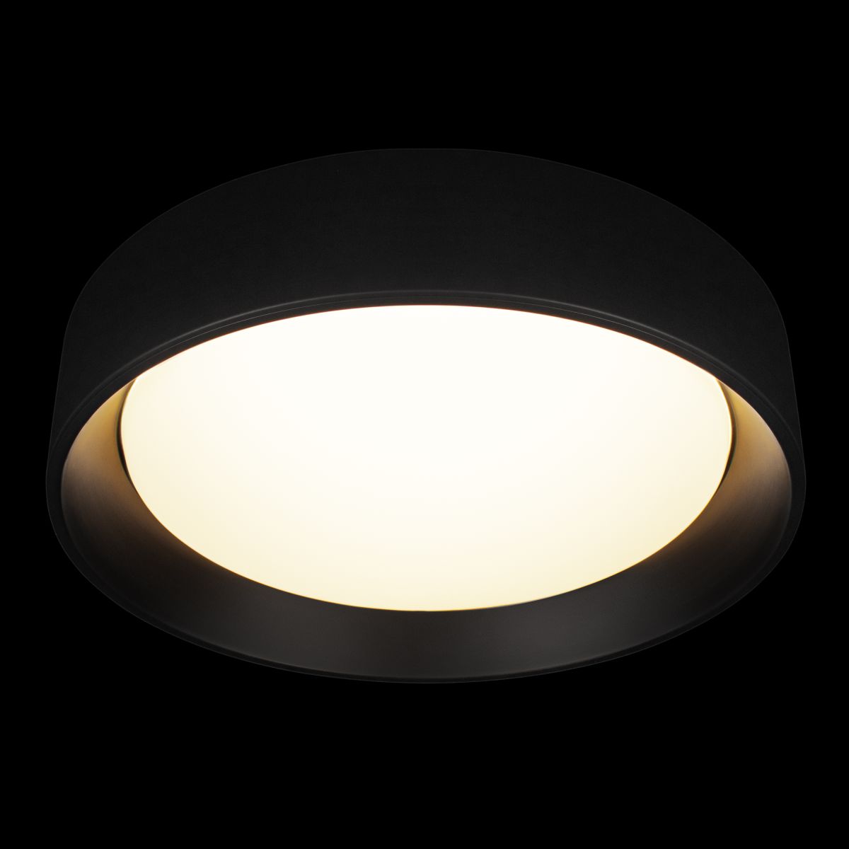 Потолочный светильник Loft IT Coin 10202 BB в Санкт-Петербурге