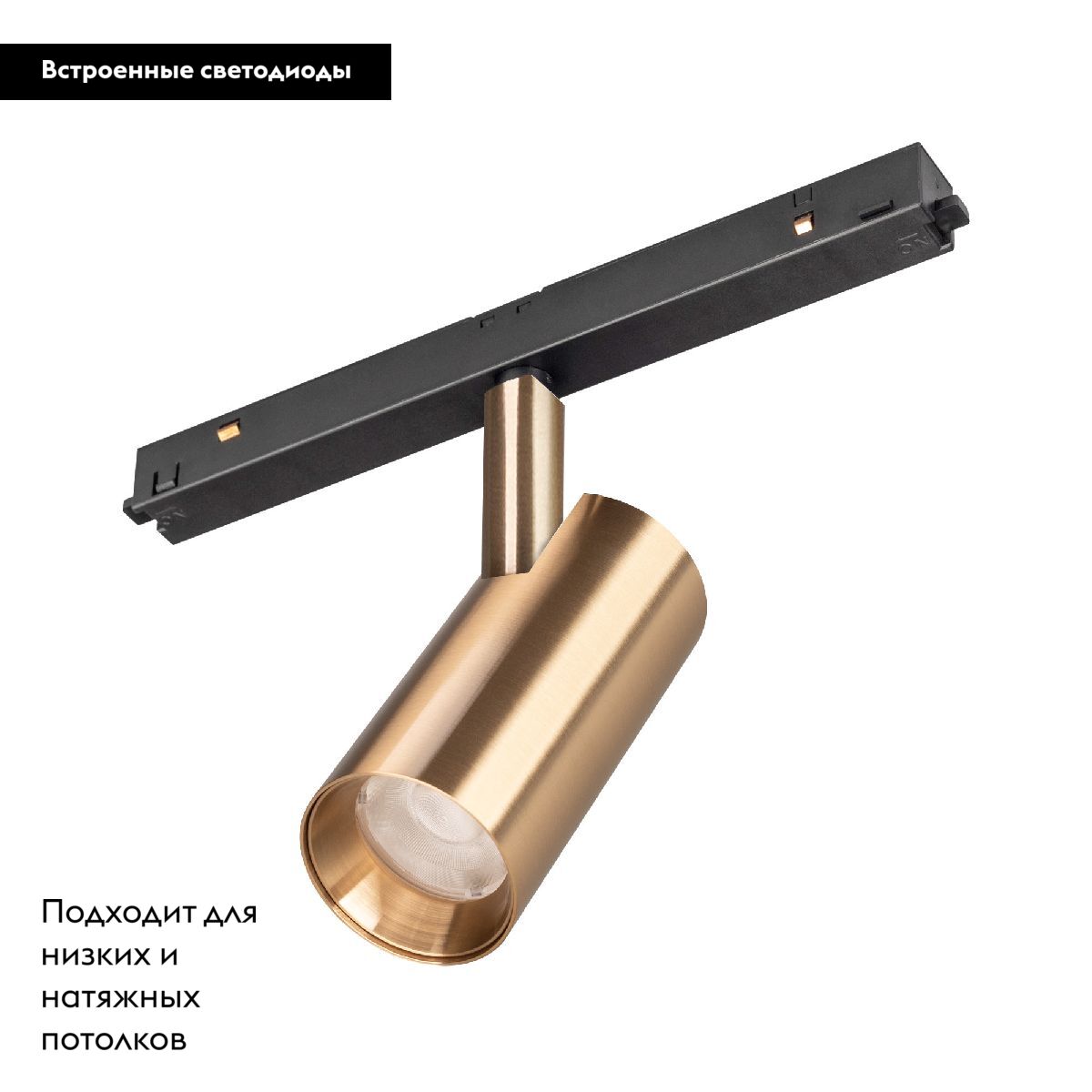 Трековый магнитный светильник Arlight MAG-ORIENT-SPOT-R45-12W Warm3000 (GD, 24 deg, 48V, DALI) 040891 в Санкт-Петербурге