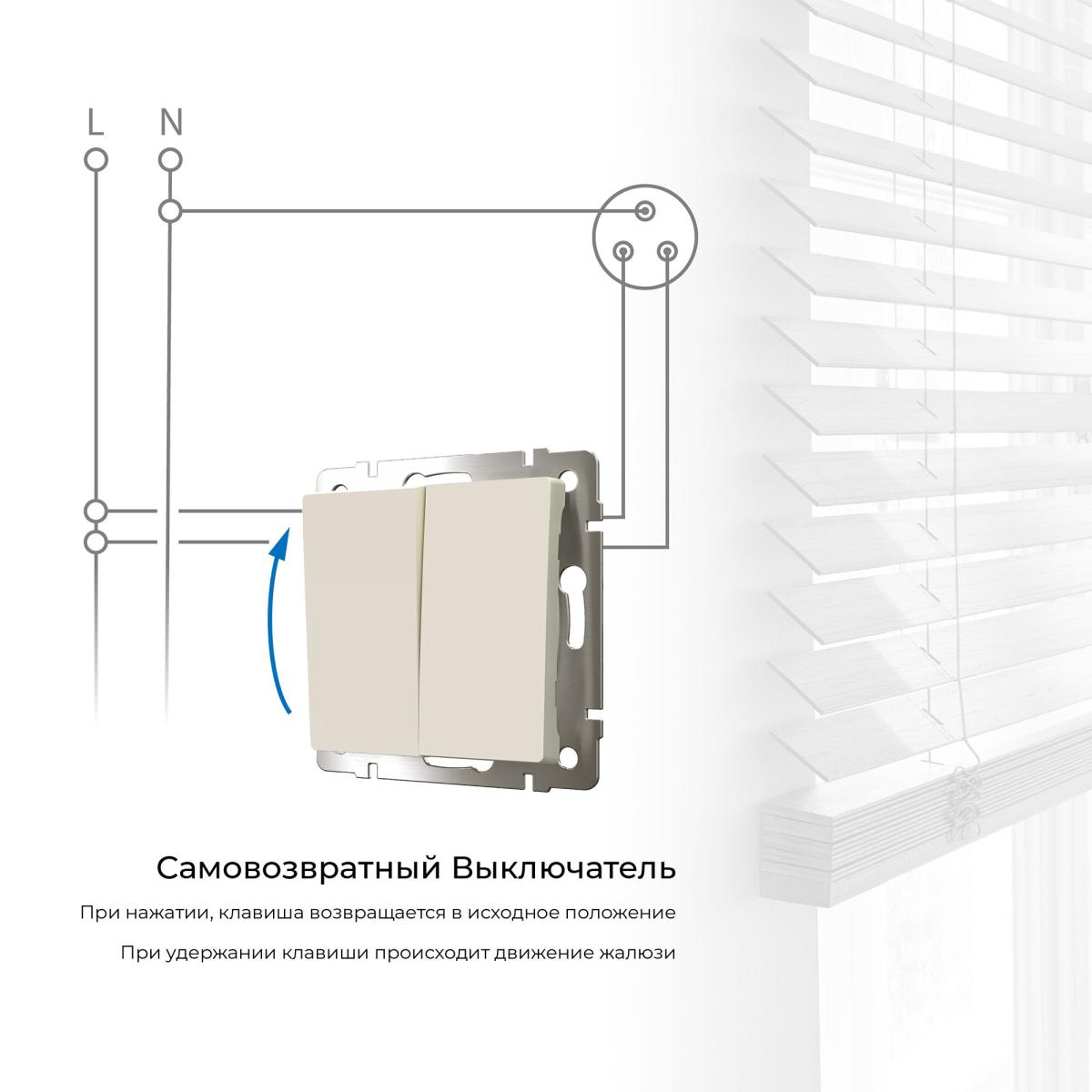 Выключатель двухклавишный с самовозвратом Werkel 4690389192357 W1122462 a062577 в Санкт-Петербурге