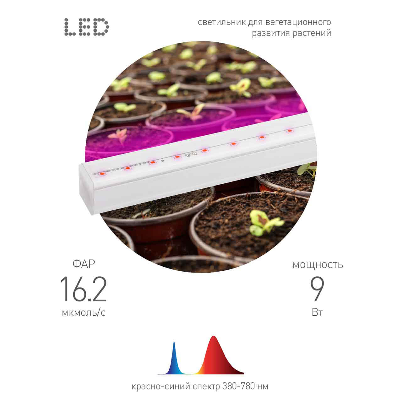 Светильник для растений ЭРА FITO-9W-Т5-N Б0045231 в #REGION_NAME_DECLINE_PP#