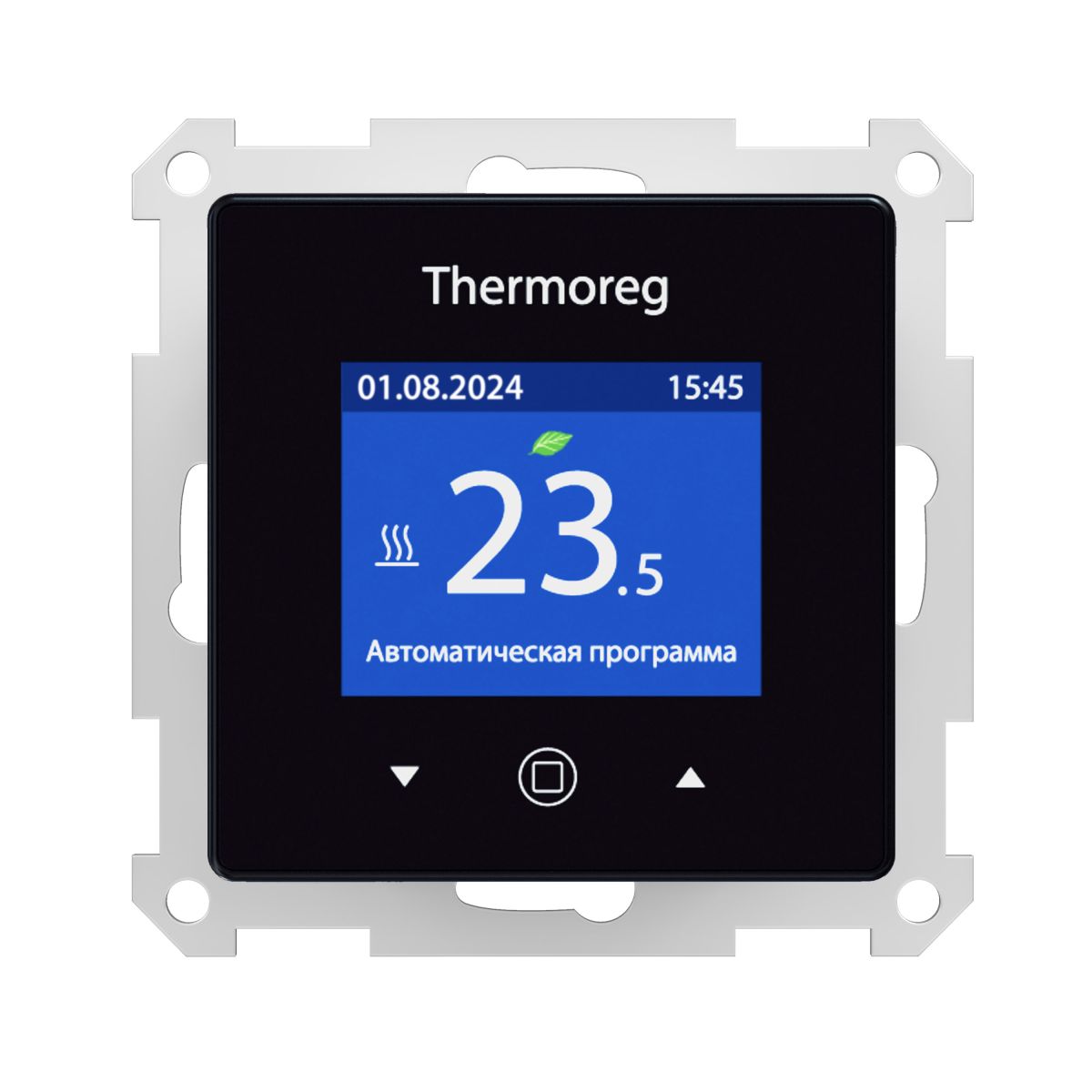 Терморегулятор Thermoreg TI-970 в Санкт-Петербурге